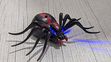 hot shapers: 💫🪖🔥23 ФЕВРАЛЯ!! Прикольный подарок для любого возраста 🕷️ПАУК на — 2