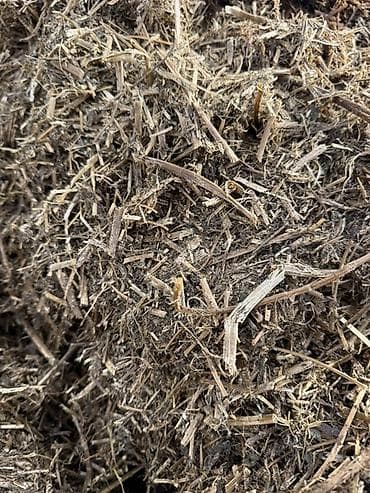 купить малька африканского сома: Сенаж из люцерны мелкого дробления Высшего качества В рулонах 9.5 — 2