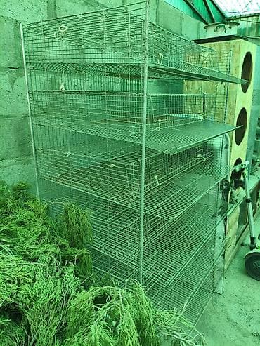 инкубатор мини: Металлическая многосекционная клеточная батарея для птицы/мелких — 3