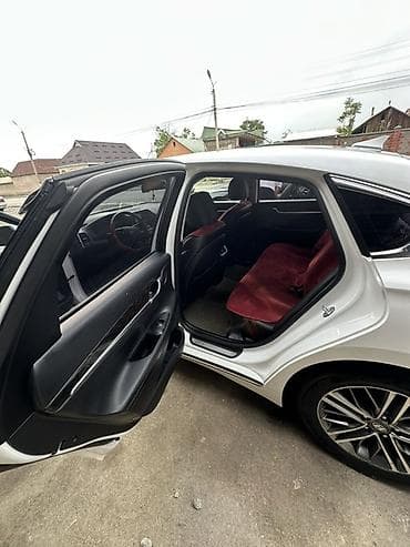 сетка на решетку: Hyundai Grandeur: 2019 г., 3 л, Автомат, Газ, Седан — 5