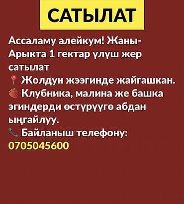 nice house: 100 соток, Для сельского хозяйства — 1