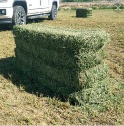 сколько стоят домики для кошек: Беде пресс жана чөп саман алам канча болсода. карасуу Өзгөн араван — 1
