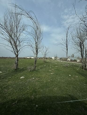 фоны для студии: 10 соток, Для строительства, Красная книга — 2