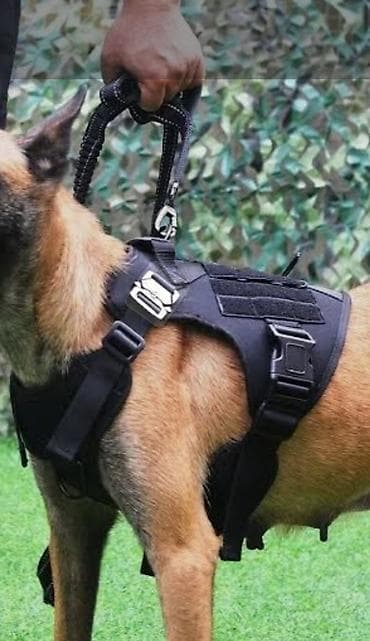 командор: Продается тактическая шлейка для собак. **Описание:** Шлейка — 1