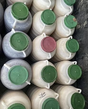 ягода малина: Натуральный мёд из собственной пасеки - Разновидности: светлый — 1