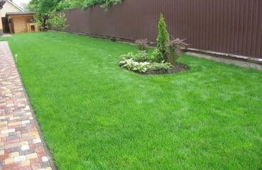 охрана ночная смена: Газон Посев Газона Натуральный газон Автополив Сеем Натуральный Газон — 4