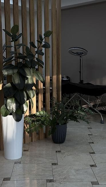 Сулуулук салондору: Сдаётся рабочее место (стол) для провиста / визажиста Ищешь уютное — 3