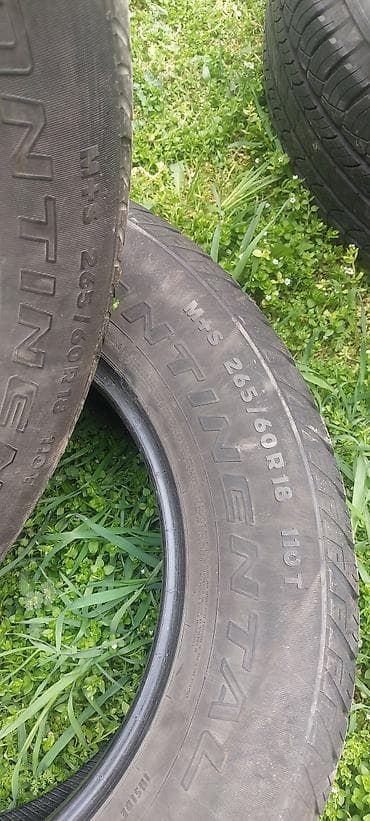 mishelin: Шины 265 / 60 / R 18, Лето, Комплект, Внедорожные (АТ/МТ), Michelin — 5