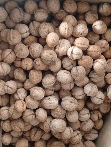 яйцо перепелов: Грецкие орехи в скорлупе - Натуральные, неочищенные, цельные ядра в — 1