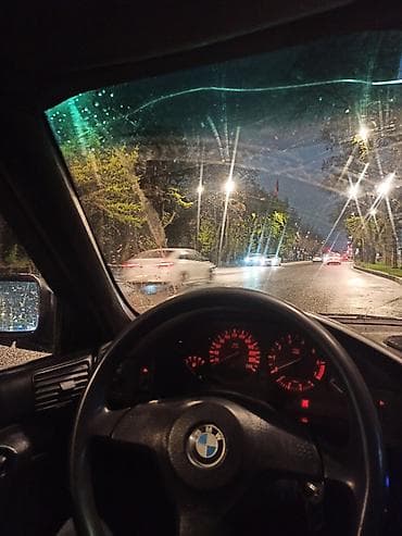 двери е34: BMW 5 series: 1994 г., 2 л, Седан — 3
