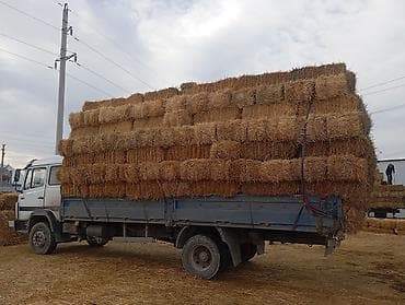 бортовой сапок: Заказать Мерседес Гигант, Вывоз швейных отходов, C грузчиком — 7