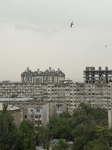 квартиру дордой: 2 комнаты, 55 м², 106 серия, 9 этаж — 4
