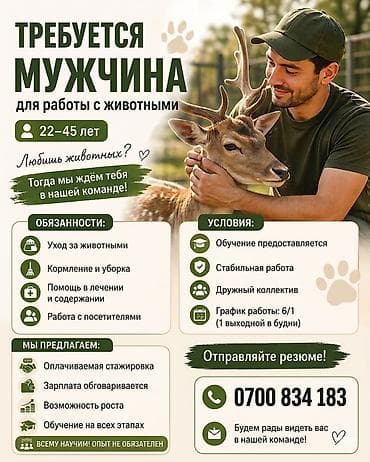 Вакансия: мужчина для работы с животными (22–45 лет) Обязанности: - at lalafo.kg Вакансия: мужчина для работы с животными (22–45 лет) Обязанности: -
