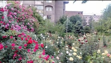 сдаю квартиру 2х ком в бишкеке район пишпек: 2 комнаты, 56 м², Индивидуалка, 15 этаж, Косметический ремонт — 6