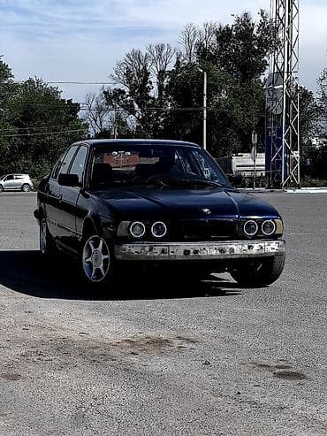 BMW: BMW 5 series: 1991 г., 2.5 л, Кол менен иштөөчү, Бензин, Седан — 1