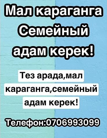 швея аламедин 1: Требуется семейная пара для ухода за скотом (скотоводы/пастухи) — 1