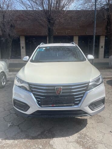 Roewe ERX5: 2017 г., Электромобиль, Универсал