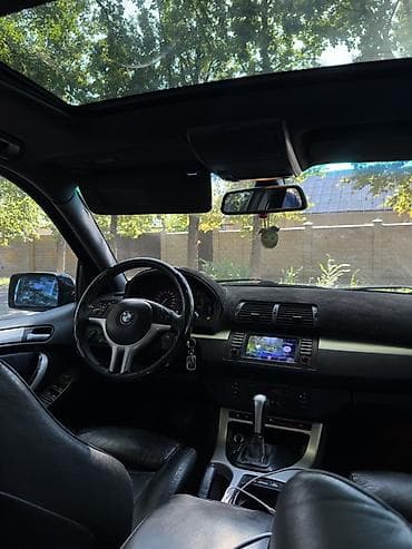 BMW X5: 2002 г., 3 л, Автомат, Дизель, Кроссовер — 10