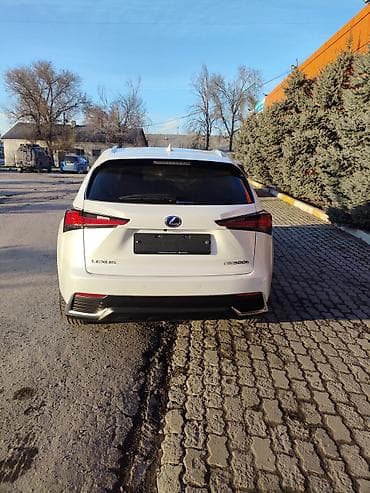 prius 30: Lexus NX: 2019 г., Вариатор, Гибрид, Кроссовер — 6