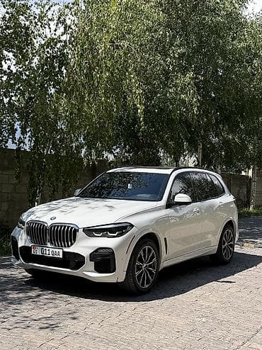 электромобиль byd e2: BMW X5: 2019 г., 3 л, Автомат, Бензин, Кроссовер — 2