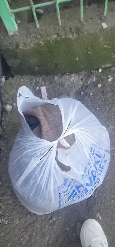 Атайын кийим: Шинель солдатская — 9