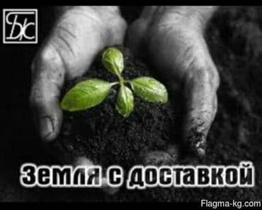 навоз чернозем: Тонна менен, Акысыз жеткирүү, Зил — 3
