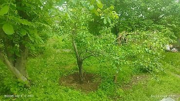 Үйлөр: 🏡 Продается 1комн.времянка ж/м Ала-Тоо 2 🏡Площадь дома: 30 м²,площадь — 1