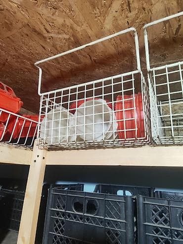 Үй жаныбарлары: Продаю всё для курятника и циплятника на 400 голов. Все в хорошем — 4