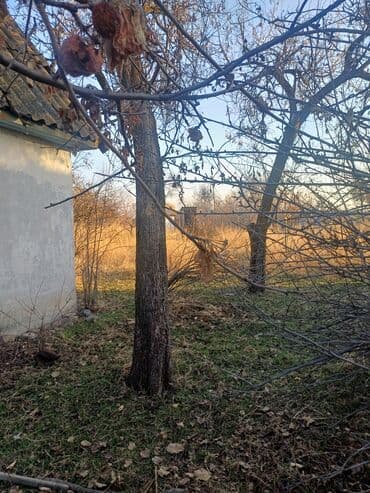 продаю дом ж м ак ордо: Дача, 10 м², 1 комната, Собственник, Старый ремонт — 7