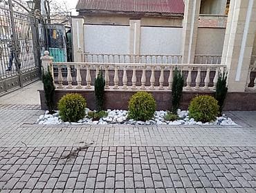 lemon: Услуги по ландшафтному обустройству участка - Автополив — 4