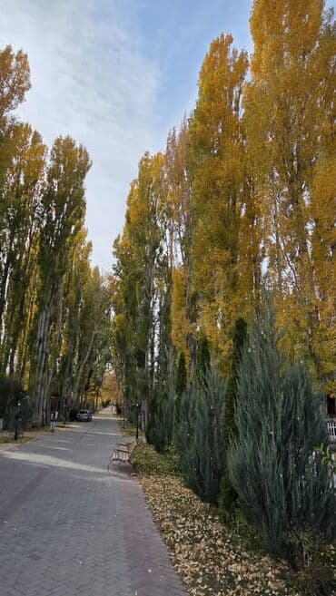 снять домик в горах: Коттедж, КОТТЕДЖ | Радуга West, Кош-Көл, Сауна, Барбекю, Батут — 44