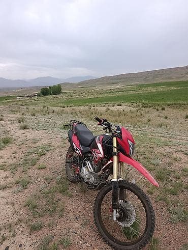 mr moto: Эндуро 300 куб. см, Бензин, Взрослый, Б/у — 1