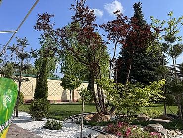 ландшавный дизайн: Ландшафтный дизайн авто полив водопады пруды водоемы ручьи посев — 9