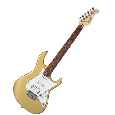 полуакустическая электрогитара: Крепление грифа	на болтах Корпус	липа Ширина верхнего порожка	42мм — 1