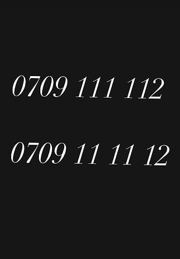 индивидуальный перевязочный пакет: Премиальный «Platinum» номер для компании: 0709 111 112 Что — 1
