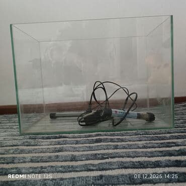 1 грамм золота цена бишкек: Продается аквариум с объемом 30 литров, есть к нему фильтр для очистки — 4