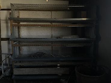 куры бролерные: Батарейные клетки для птицеводства - Многоярусные секции из — 3