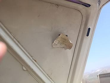 ВАЗ (ЛАДА) 2101: 1987 г., Ручные, Бензин, Седан