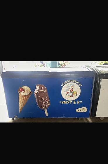 Соода жабдуулары: Ларь морозильный (витринный/снежный) для мороженого и замороженных — 3