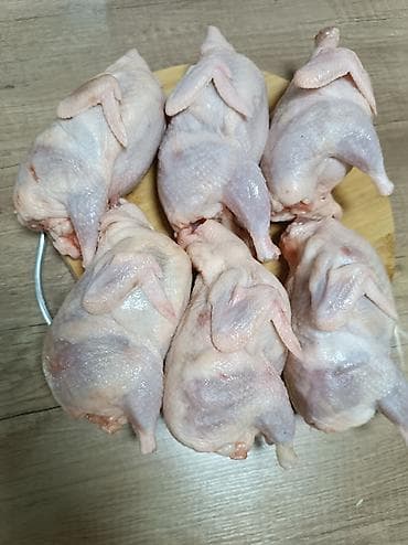 перепелиные яйцо: ПЕРЕПЁЛКИ ВЕС ТУШКИ 350- 400 грамм мы в центре города, качество — 1