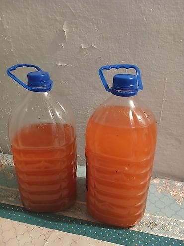 Другие фрукты: Домашний фруктовый сок в канистрах - Объём тары: около 5 л каждая — 1