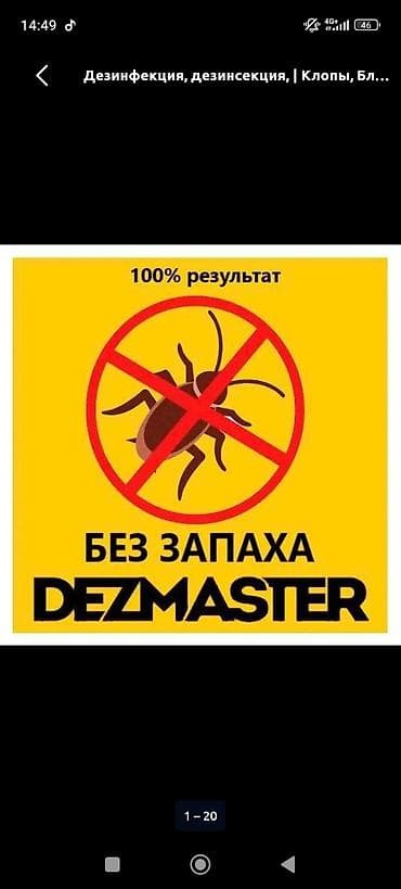 Дезинфекция, дезинсекция: Дезинсекция и дезинфекция DEZMASTER Профессиональная обработка — 2