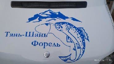 Тюнинг: Наклейки на авто любой сложности Дублирующие номера рисунки на любой — 10