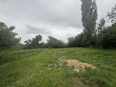 село джал какой район: 22 соток, Для строительства, Красная книга — 3