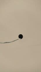 работа в бишкеке разнорабочий: Требуется Разнорабочий, Оплата Почасовая, Без опыта — 1