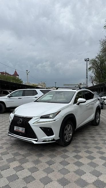 lexus rc: Lexus NX: 2019 г., 2 л, Автомат, Бензин, Кроссовер — 2
