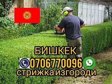 Газонокосилки: Газонокосилка, Новый, Бензин, Alteco, 4-х тактный двигатель, Бесплатная доставка — 1