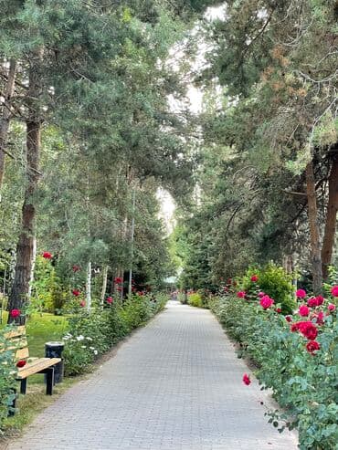 обмен дома на квартиру: Квартира, 2х ком.квартира ЦО Радуга, Сары-Ой, Барбекю, Баскетбольная площадка, Бассейн — 18