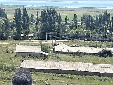Кыймылсыз мүлк: 70 соток, Кызыл китеп — 5