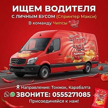 Талап кылынат Автобус, бус айдоочусу, Айдоочулук категориясы (D)